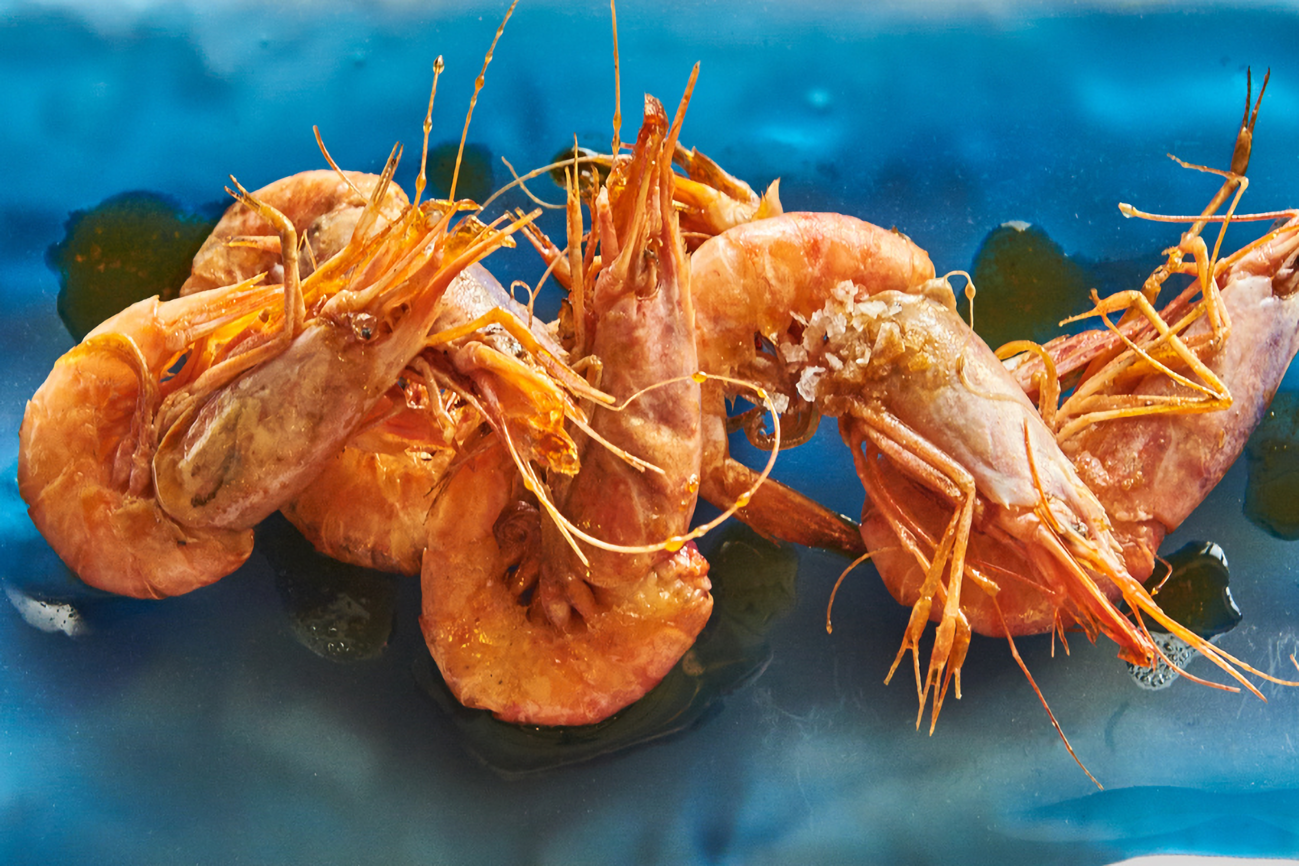 Gambas rojas a la plancha con aceite de frutos secos y sus cabezas